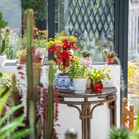 Couette-café Marguerite 65 Rue Legout Lesage 76260 Et Marais