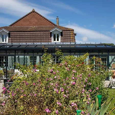 Marguerite 65 Rue Legout Lesage 76260 Et Marais Couette-café Ponts-et-Marais