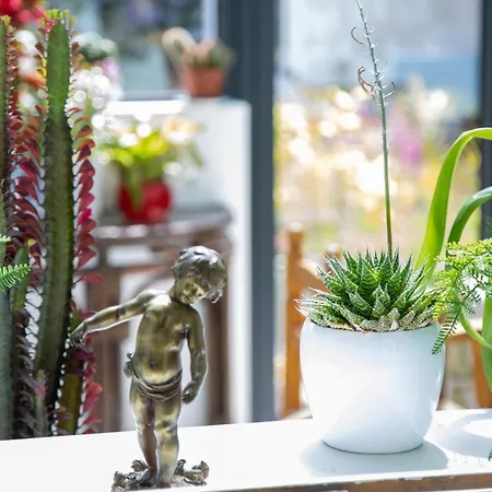 Bed & Breakfast Marguerite 65 Rue Legout Lesage 76260 Et Marais