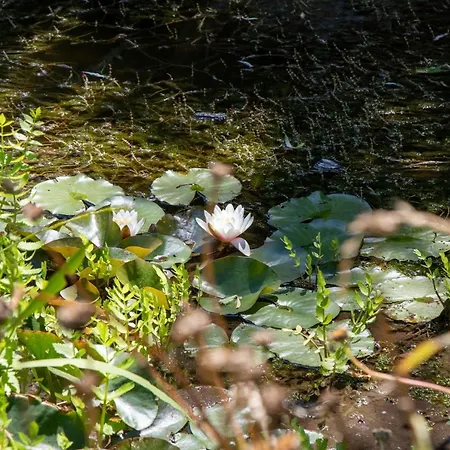Marguerite 65 Rue Legout Lesage 76260 Et Marais Bed & Breakfast