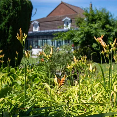 Marguerite 65 Rue Legout Lesage 76260 Et Marais *