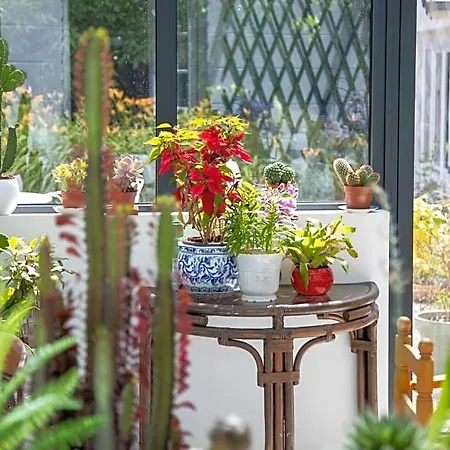 Marguerite 65 Rue Legout Lesage 76260 Et Marais Отель типа 